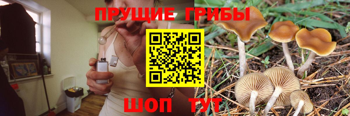 Псилоцибиновые грибы Psilocybine cubensis  Галлюциногенные грибы Magic Shrooms  Вход с VPN  Кимры 